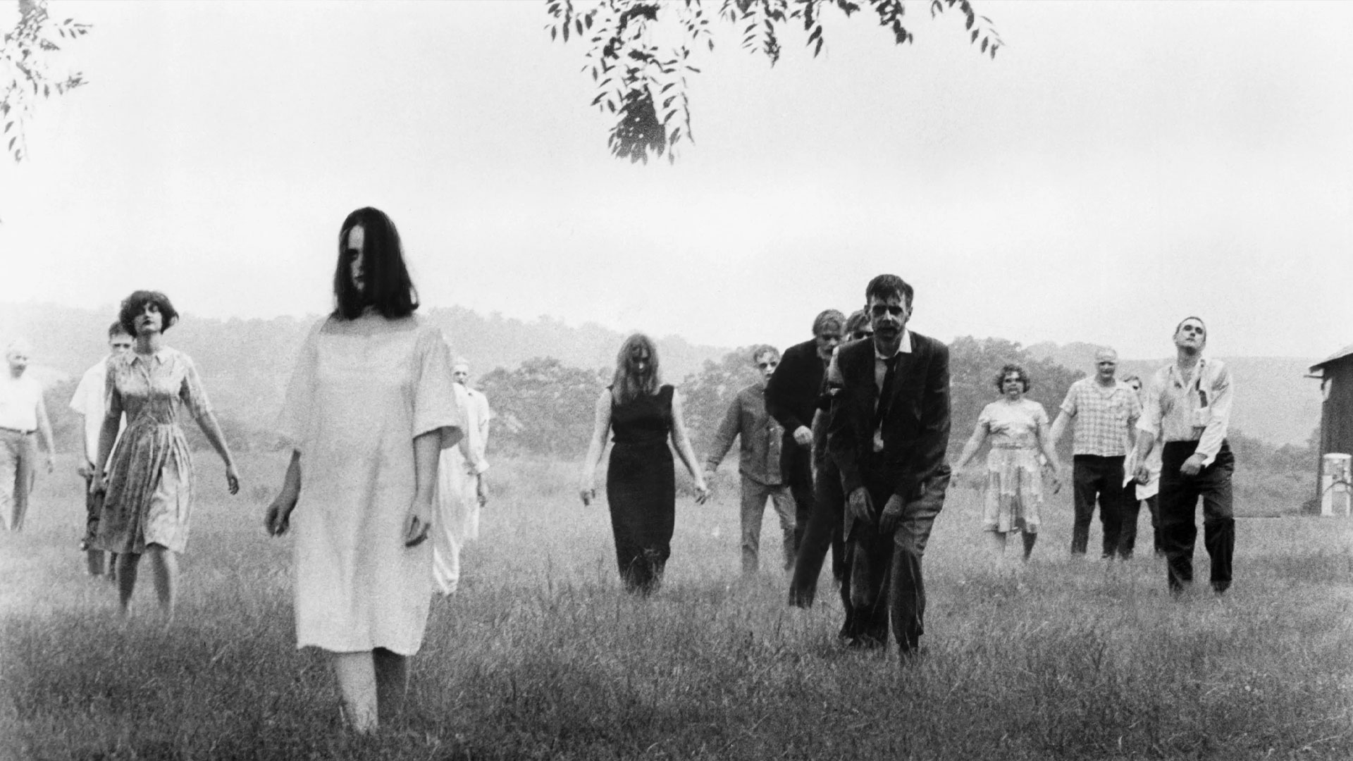 Night of the Living Dead